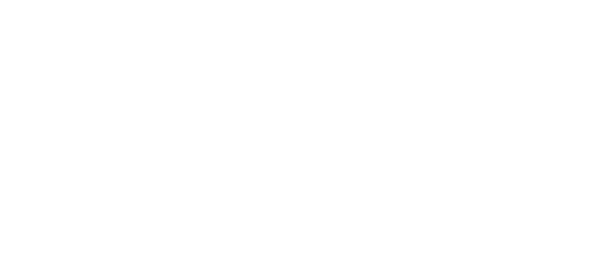 zap plumbers Adelaide logo