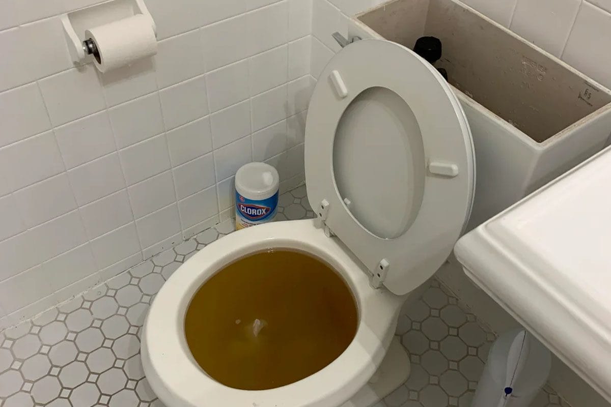 Blocked Drains Adelaide 13 Blocked Toilet